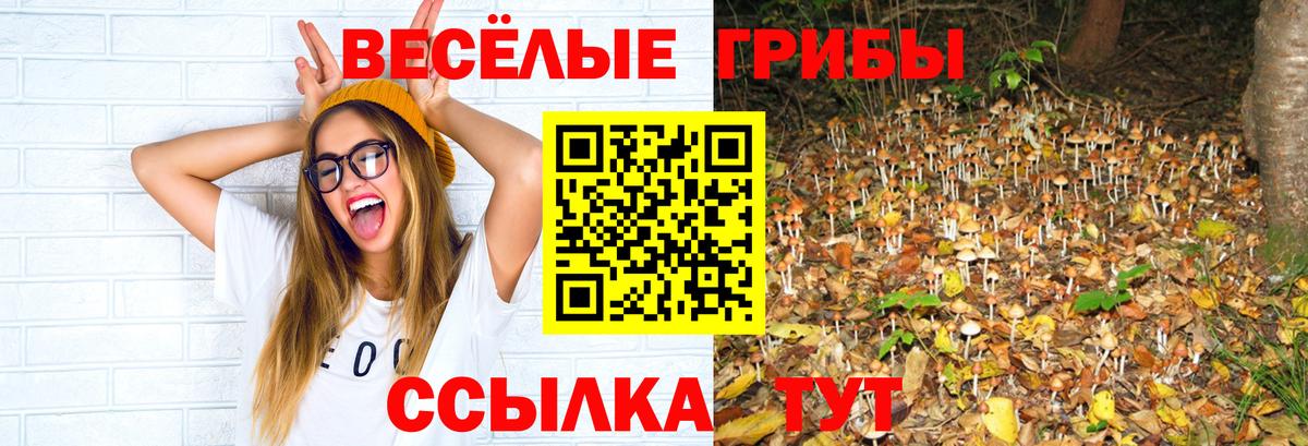 Галлюциногенные грибы Cubensis Прокопьевск