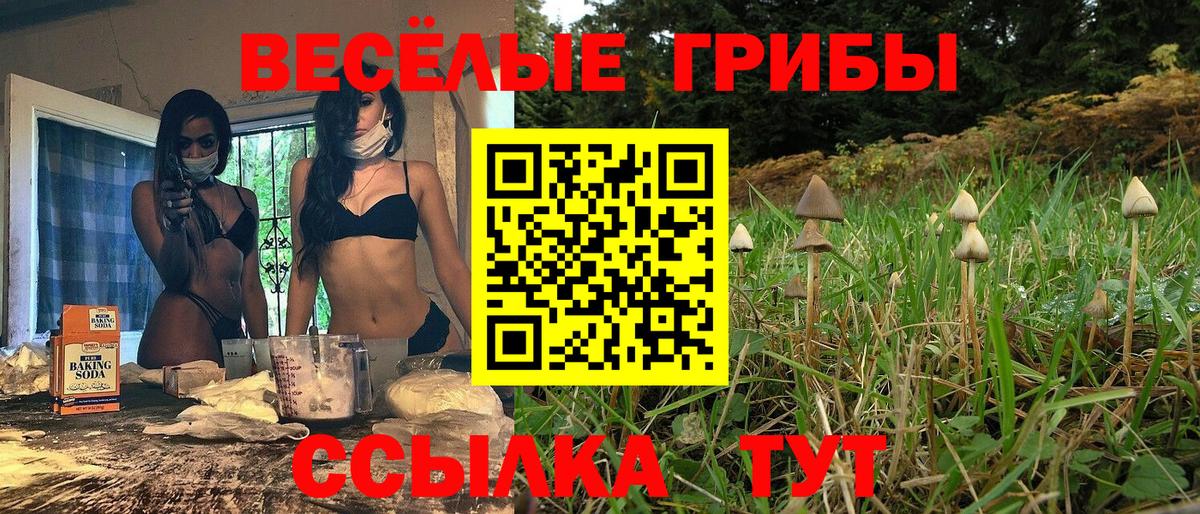 Прокопьевск  Галлюциногенные грибы Psilocybine cubensis  Псилоцибиновые грибы Psilocybe  Вход с VPN 